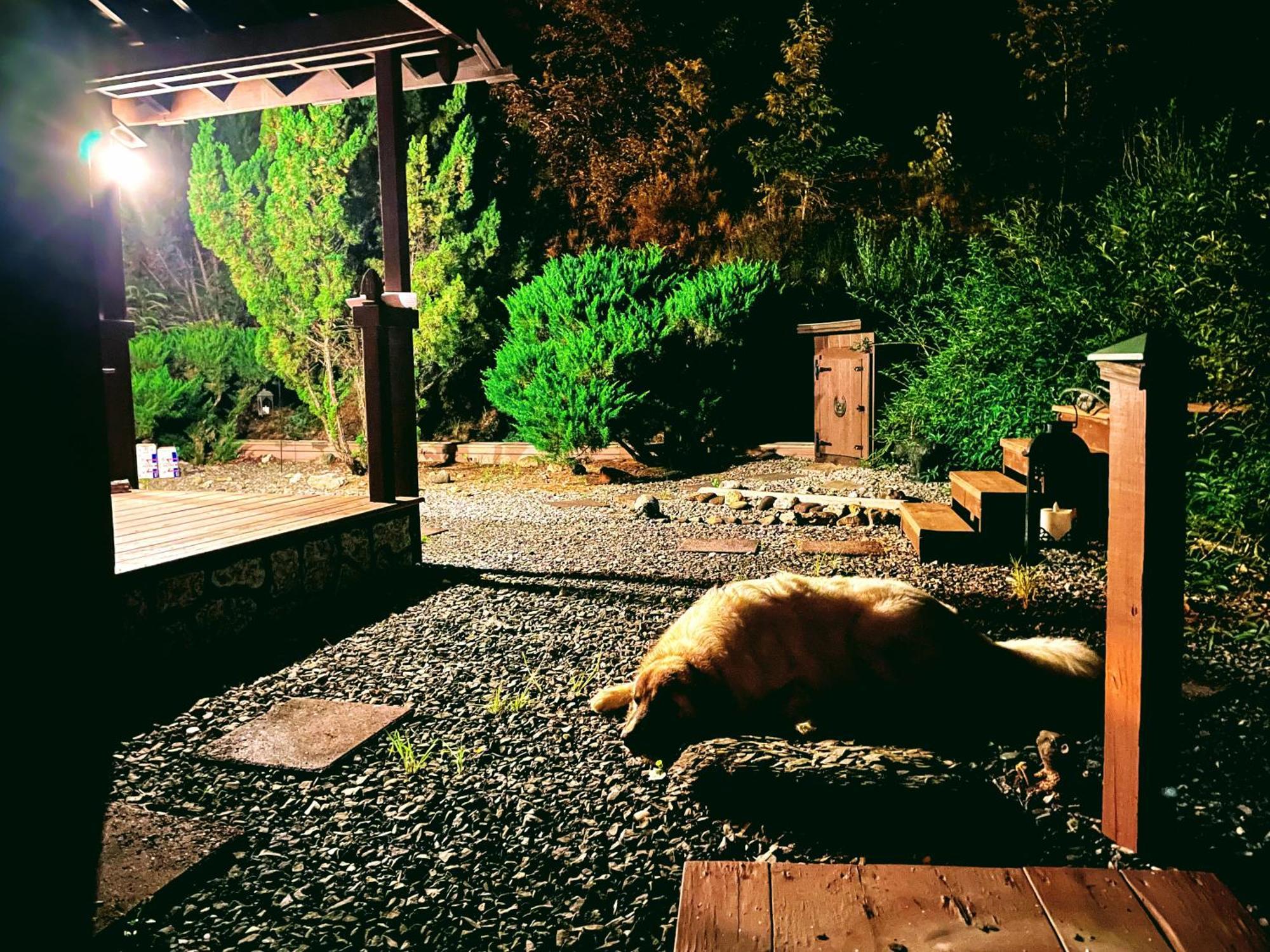Вілла Tiny House, Wifi,Hot Tub,Secluded Cosby Екстер'єр фото