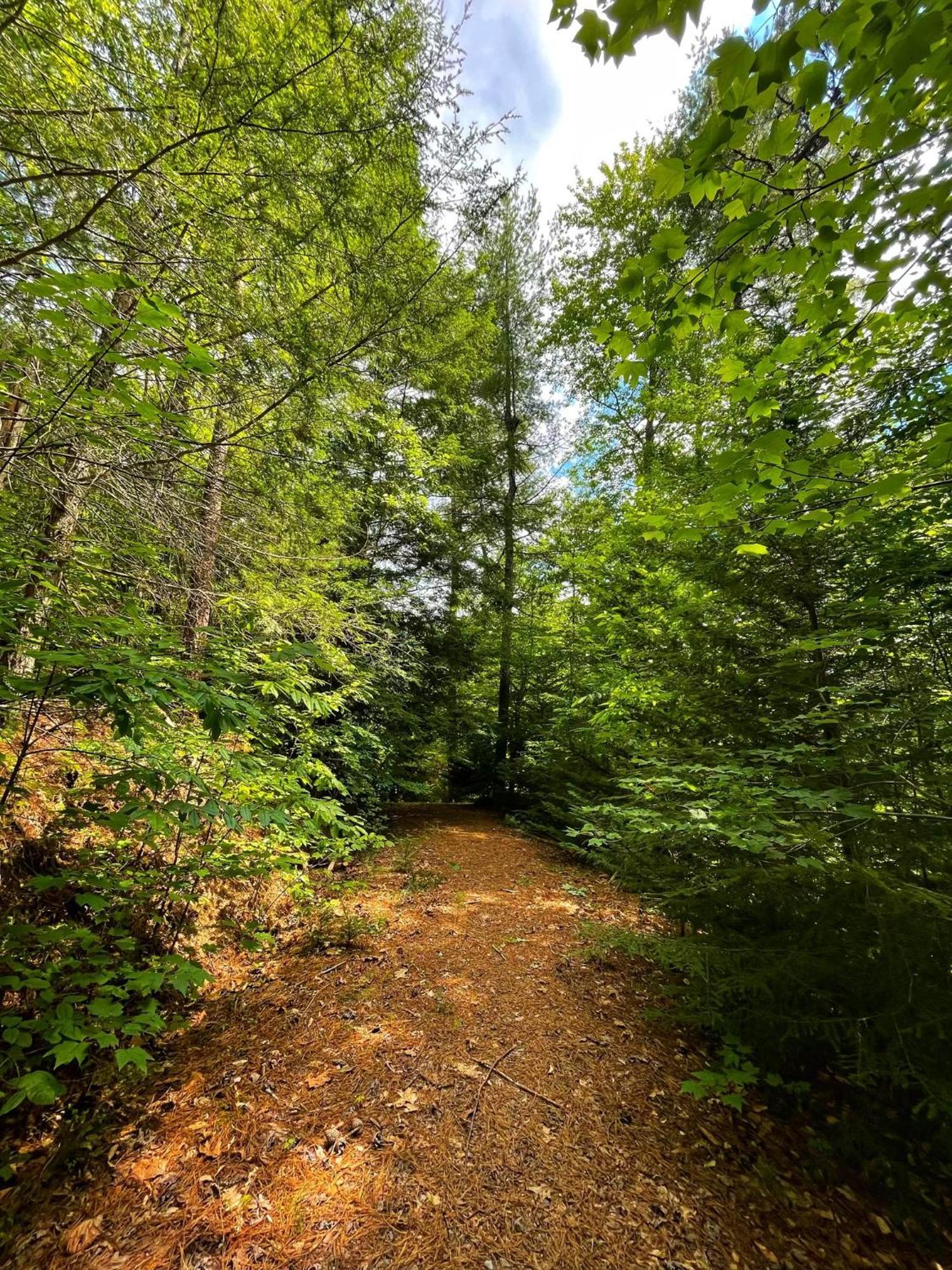 Вілла Tiny House, Wifi,Hot Tub,Secluded Cosby Екстер'єр фото