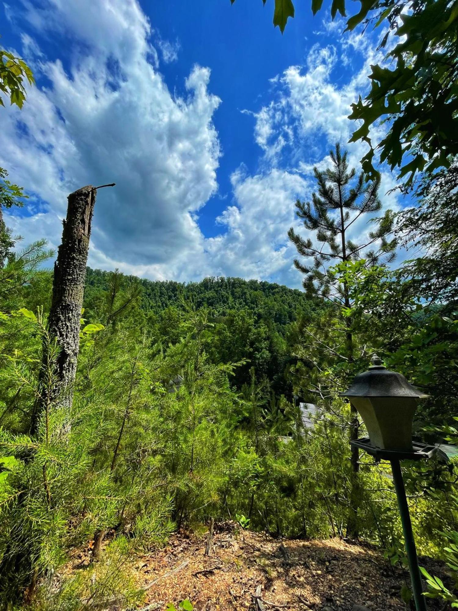 Вілла Tiny House, Wifi,Hot Tub,Secluded Cosby Екстер'єр фото